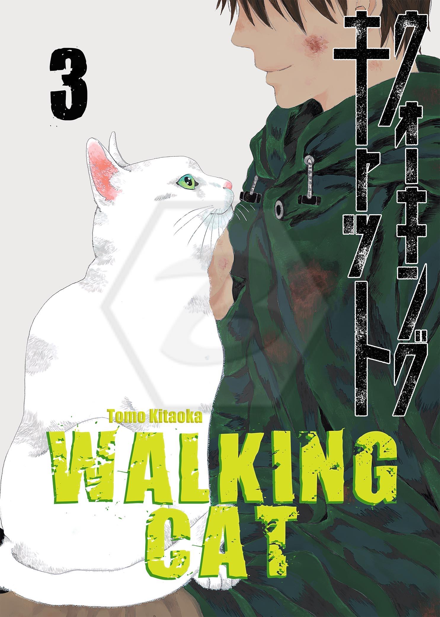 Walking Cat 3