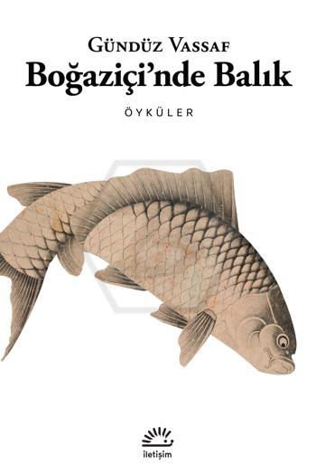 Boğaziçinde Balık - Öyküler