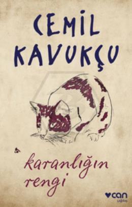 Karanlığın Rengi