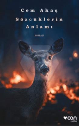 Sözcüklerin Anlamı