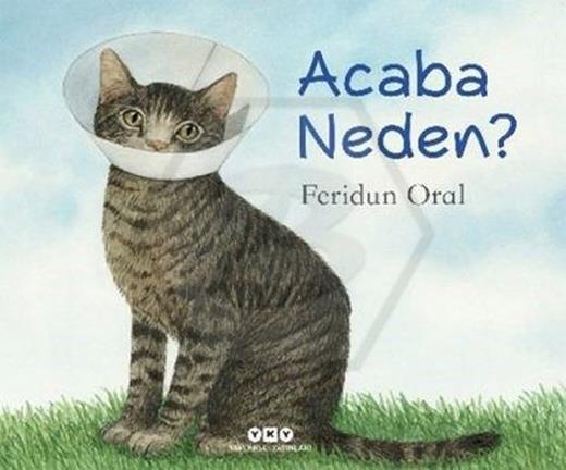 Acaba Neden