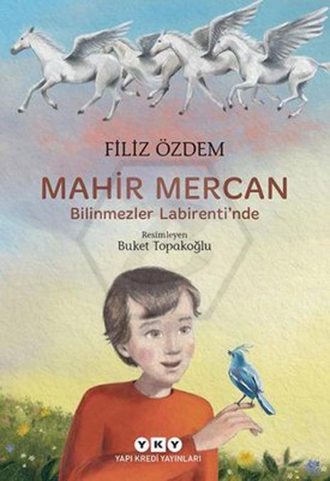 Mahir Mercan - Bilinmezler Labirentinde