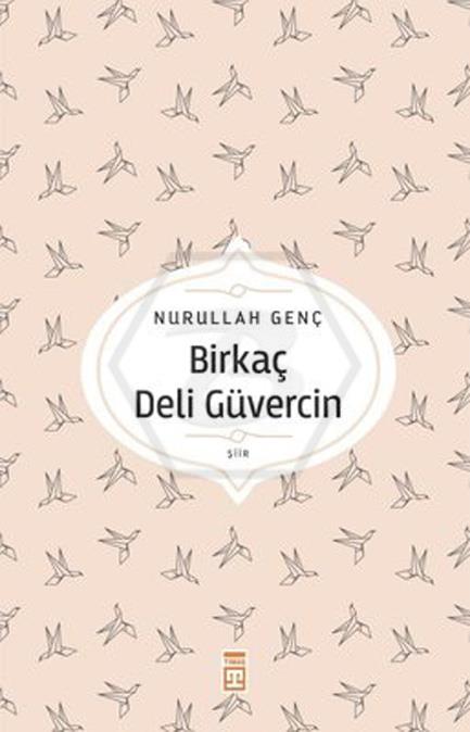 Birkaç Deli Güvercin