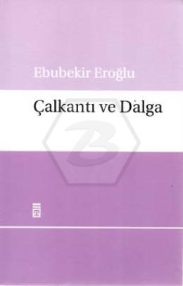 Çalkantı ve Dalga