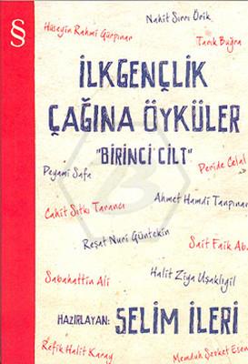 İlkgençlik Çağına Öyküler 1