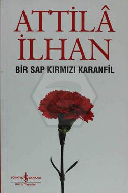 Bir Sap Kırmızı Karanfil
