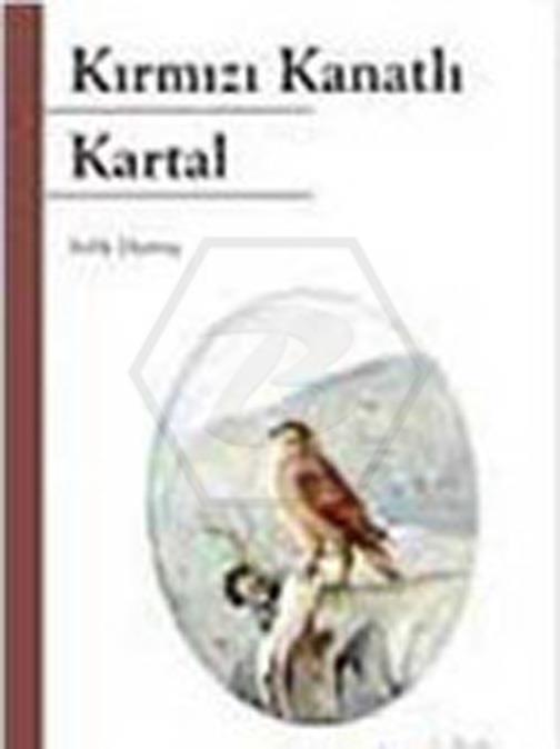 Kırmızı Kanatlı Kartal