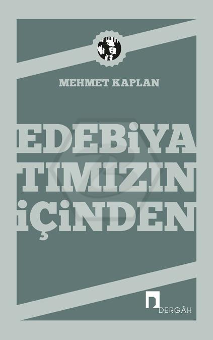 Edebiyatımızın İçinden